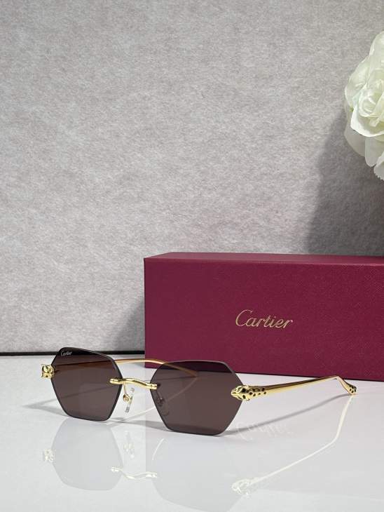 Picture of Cartier Sunglasses _SKUfw79724116fw